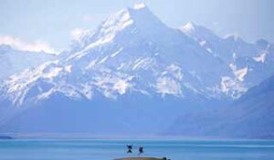 New Zealand Self Drive tours small group tours private tours guided holiday new zealand tours